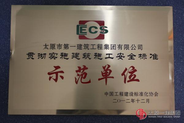 贯彻实施建筑施工安全标准示范单位