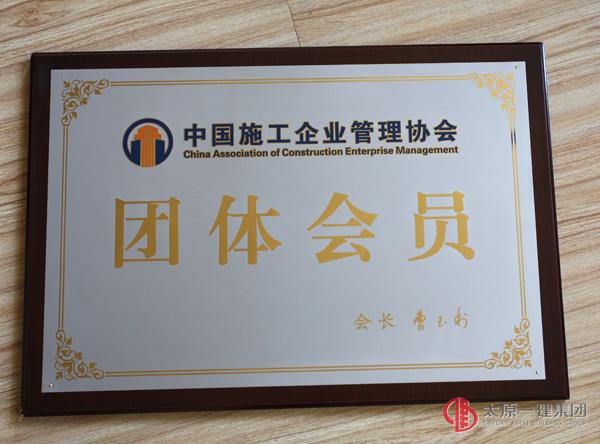 中国施工企业管理协会团体会员